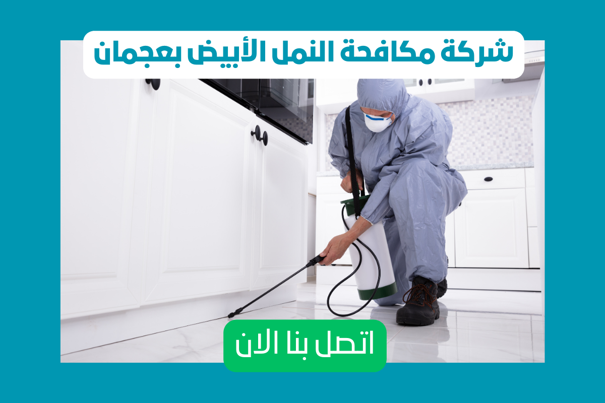 شركة مكافحة النمل الأبيض في عجمان