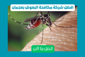 شركة مكافحة البعوض بعجمان2