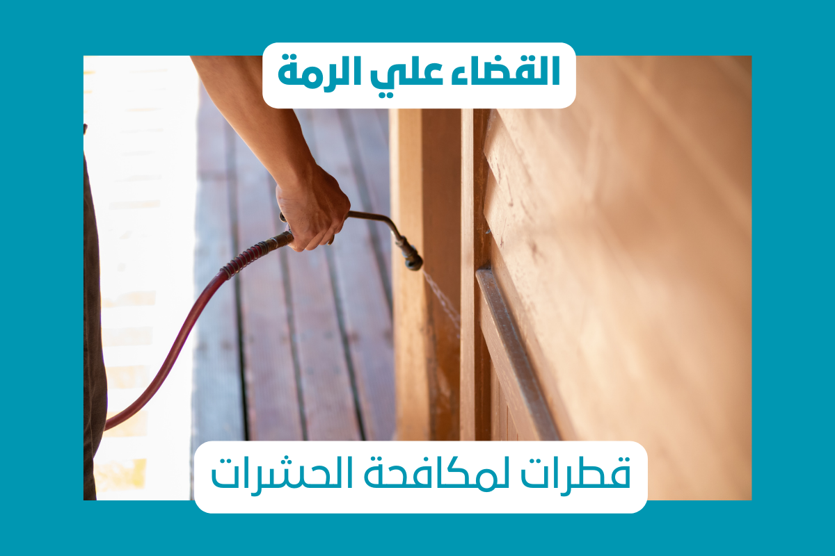 أفضل شركة مكافحة الرمة بعجمان
