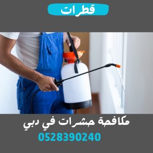 شركة مكافحة حشرات في دبي قطرات