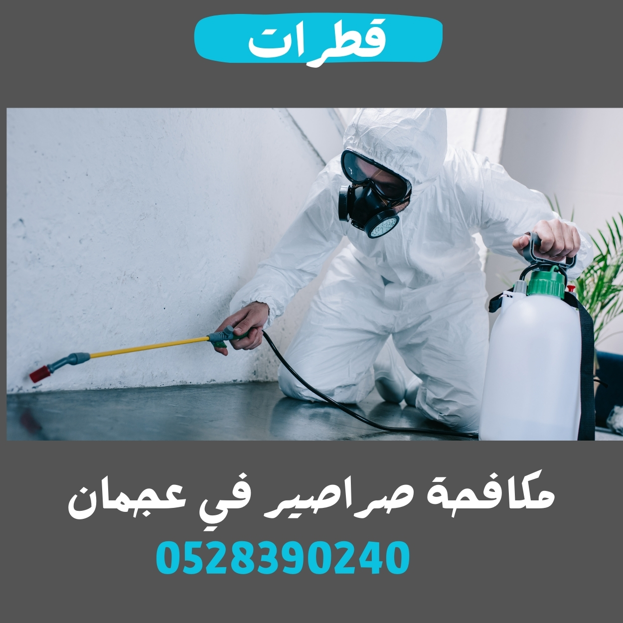 شركة مكافحة صراصير في عجمان333