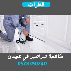 شركة مكافحة صراصير في عجمان