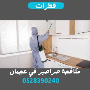 شركة مكافحة صراصير في عجمان22